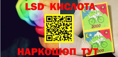 ПСИЛОЦИБИНОВЫЕ ГРИБЫ Можайск