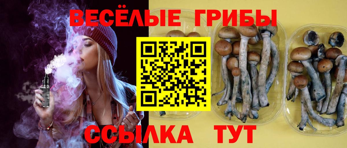 Галлюциногенные грибы прущие грибы  Вход с VPN  продажа наркотиков  Псков  Галлюциногенные грибы прущие грибы 