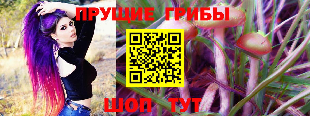 Псилоцибиновые грибы Cubensis Псков